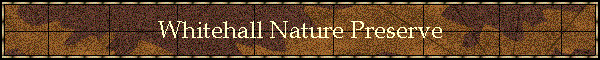 Whitehall Nature Preserve
