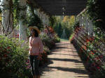 Thu Oanh in the colonnade.